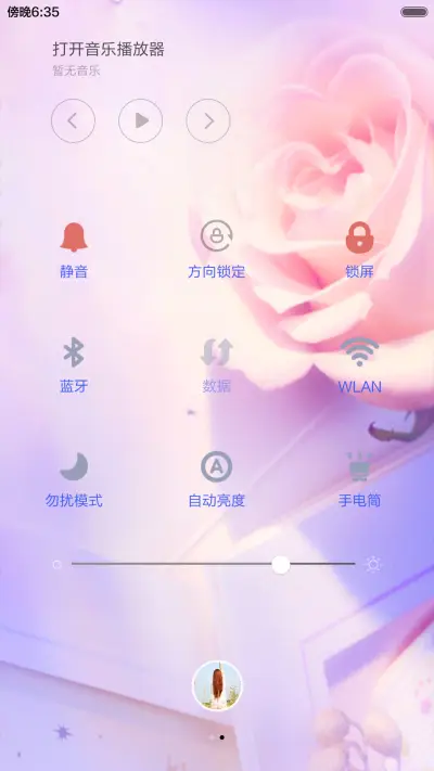 花样年华（适配V5 V6+全图标+充电动画+自由桌面） - Screenshot 8