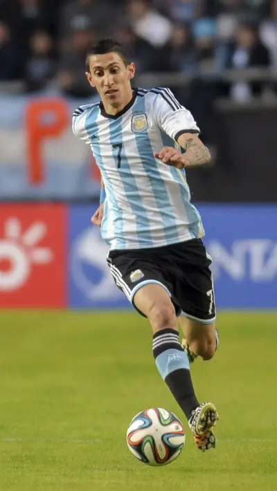 天使之翼迪马利亚