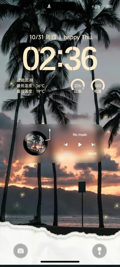 ins简约清新椰林