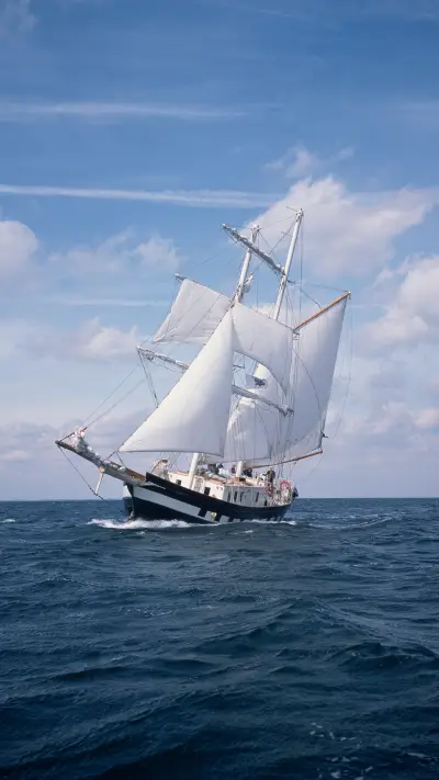 扬帆起航 - Screenshot 1