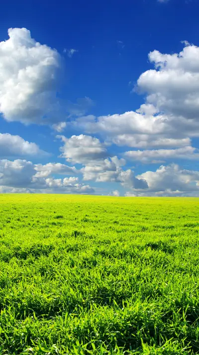 绿草蓝天-拍信图库 - Screenshot 1