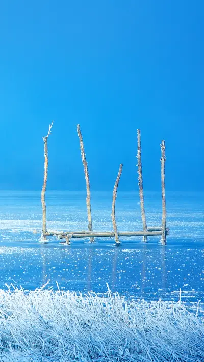 冬季美景-拍信图库 - Screenshot 1