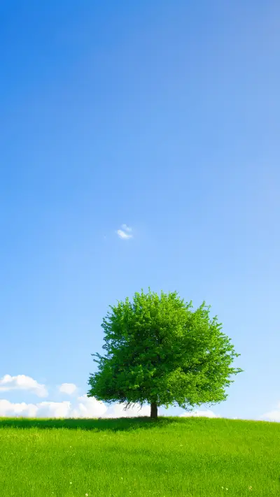 绿草蓝天-拍信图库 - Screenshot 1