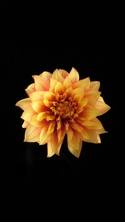 红米6 Pro 官方壁纸