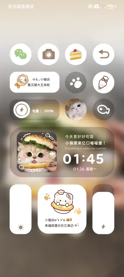 ins可爱汉堡小猫 - Screenshot 4