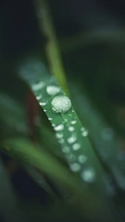 谷雨 (3) - Screenshot 1