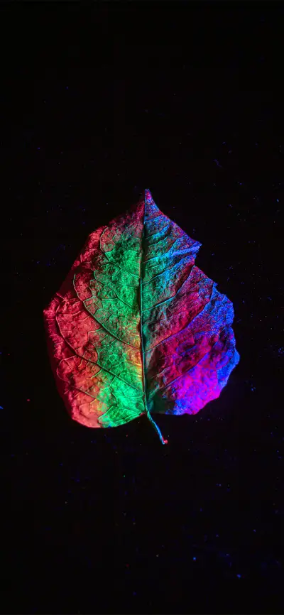 简约创意植物壁纸-锐景创意