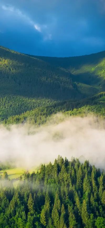 自然风景壁纸-锐景创意 - Screenshot 1