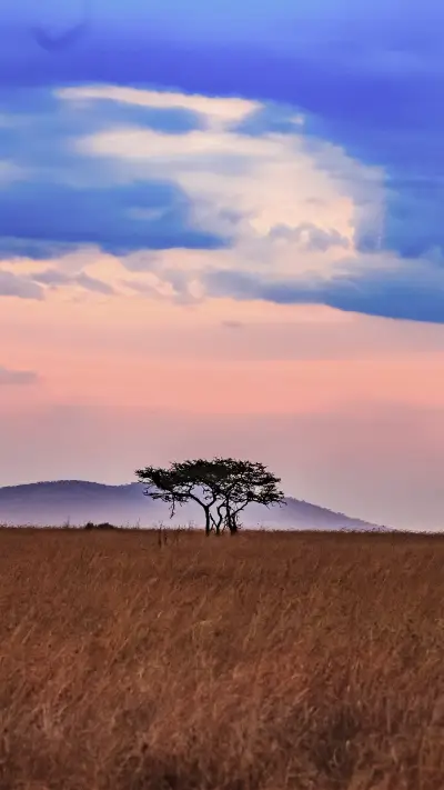 一个人的旅途壁纸-锐景创意