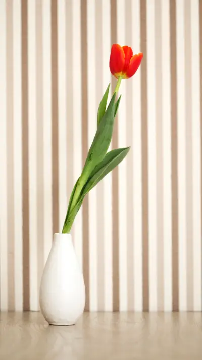 时间的财富 - Screenshot 1