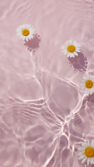 美丽的花朵-拍信图库 - Screenshot 1