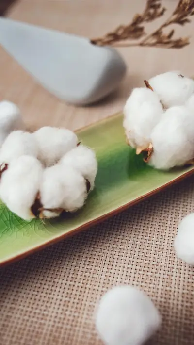 小清新棉花