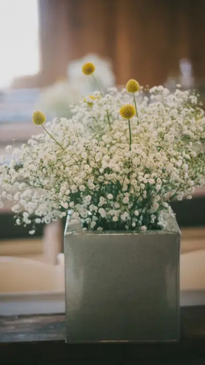 唯美意境满天星小清新花朵壁纸