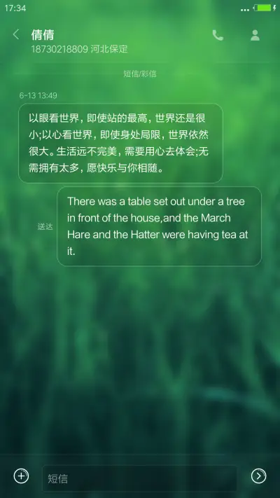 绿色iOS动态雨滴（系统真密码） - Screenshot 13