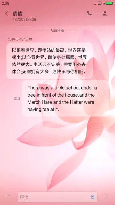 绽放 - Screenshot 8