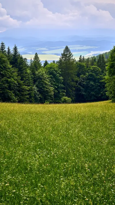 绿色护眼-拍信图库