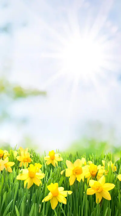 清新时刻-视觉中国