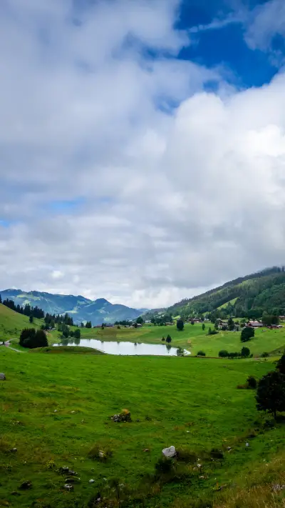 绿色护眼壁纸-拍信图库