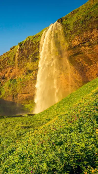 永不停止我的奋斗 - Screenshot 1