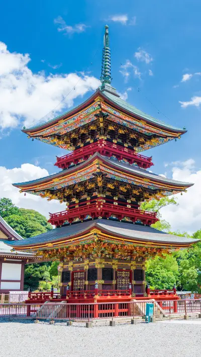 有些路，只能一个人走