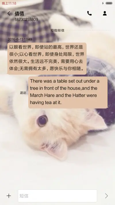 猫之物语喜猫 - Screenshot 8