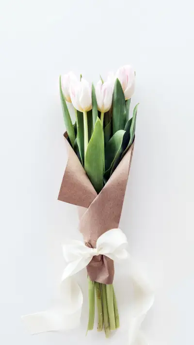 纯色背景花朵壁纸-锐景创意