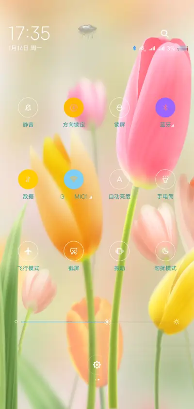 风中的郁金香 - Screenshot 5