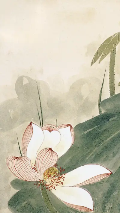 张大千画荷