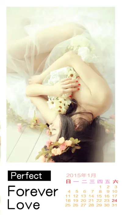 左岸纯情 右岸媚色(iOS7双解锁，快捷APP解锁，音乐界面，日历界面，自由桌面) - Screenshot 6