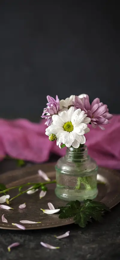 花开花落-拍信图库