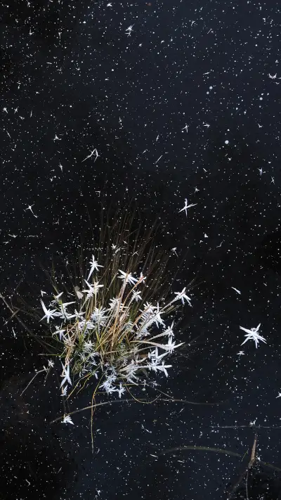 治愈壁纸-拍信图库