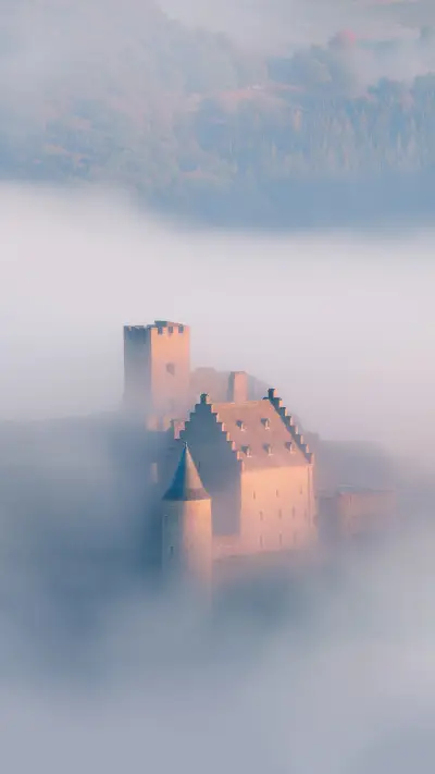 人生总是多彩的