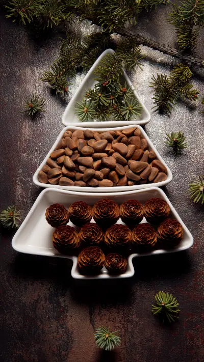 坚果养生 - Screenshot 1