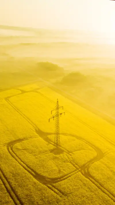 油菜花 - Screenshot 1